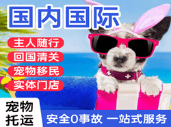 百色巴马航空快运国际宠物托运 【国